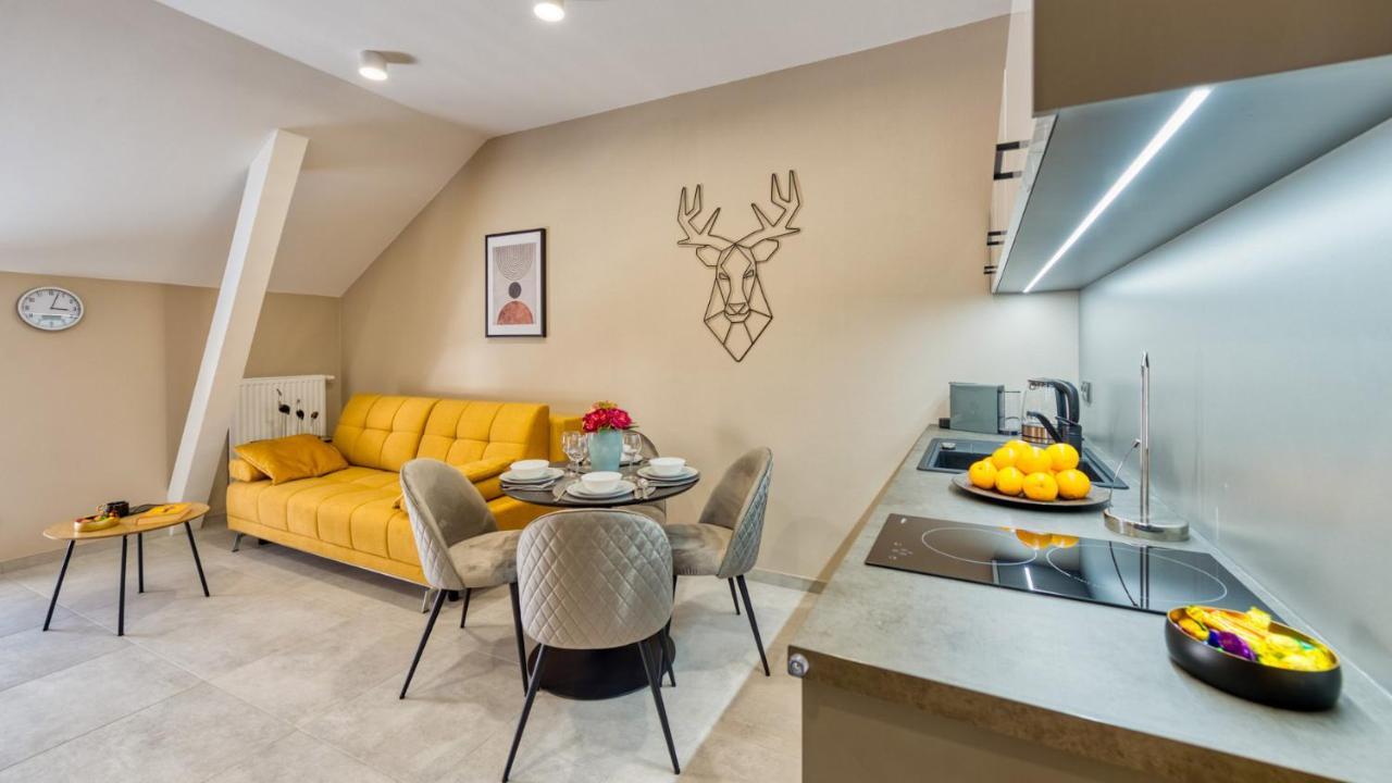 Apartamenty Vip Zdrojowa 6 Swieradow-Zdroj Luaran gambar